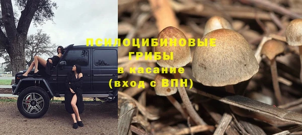 mix Арсеньев