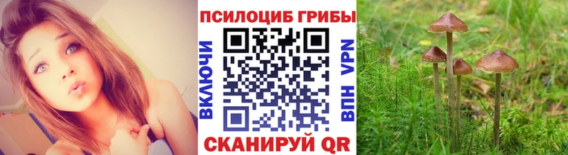 Купить  Нижневартовск  Галлюциногенные грибы ЛСД 