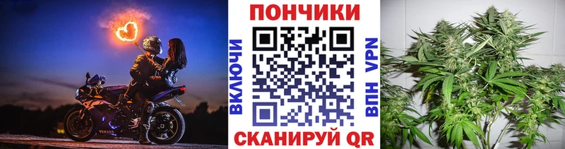 Купить  Нижневартовск  Бошки марихуана индика 